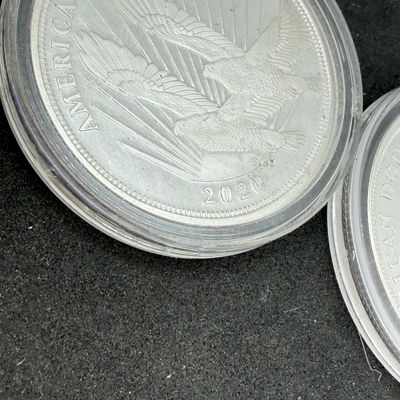 LOT 122: Two Cook Islands 1/2 Ounce .999 Fine Silver $2 American Double Eagle Coins
