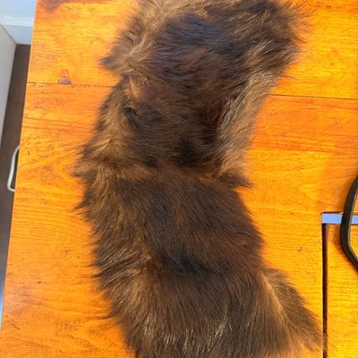 Sale Photo Thumbnail #22: Vintage brown faux fur collar or stole, showing a soft texture and natural-looking color variation, displayed on a wooden surface.