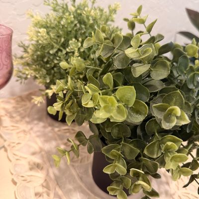 Sale Photo Thumbnail #121: Two small faux potted plants, including a leafy green eucalyptus-style plant and a lighter green flowering shrub, displayed on a lace runner.