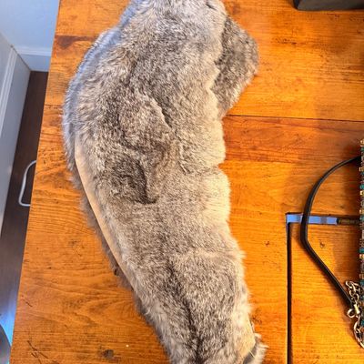 Sale Photo Thumbnail #21: Vintage grey and brown rabbit fur collar or stole, showing some wear along the fabric backing.