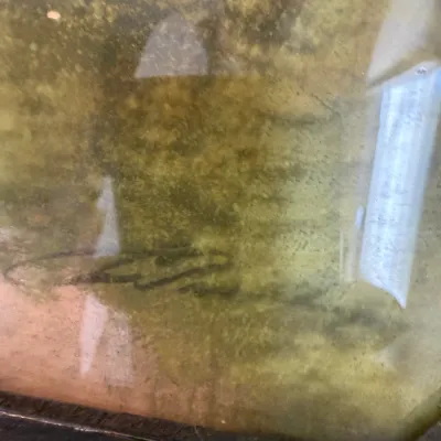 Sale Photo Thumbnail #101: Close-up detail of an artist's signature on a framed painting, showing a dark cursive signature in the lower corner under glass.