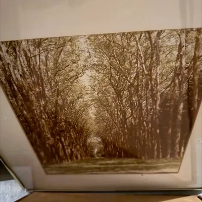 Sale Photo Thumbnail #223: Framed sepia-toned landscape photograph depicting a tree-lined path forming a natural archway, matted and housed in a simple frame.