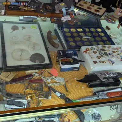 Sale Photo Thumbnail #9: collection of sea creature shells, olympic coin set, vintage pins & more