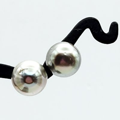 Sale Photo Thumbnail #381: 14K White Gold Tahitian Cultured Pearl Earrings