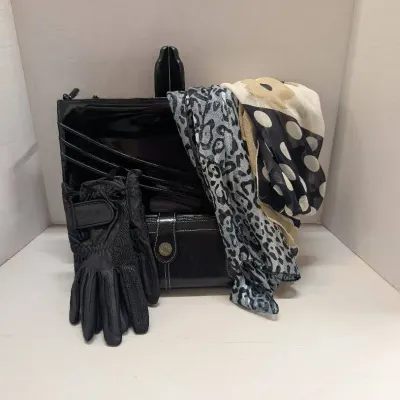 Fashion Scarves and Hand Bags 