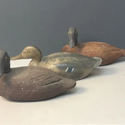 Vintage Duck Decoys
