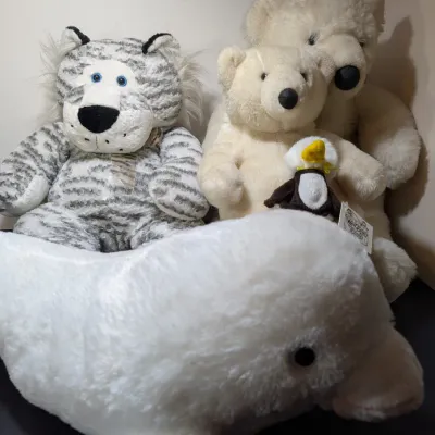 Sale Photo Thumbnail #342