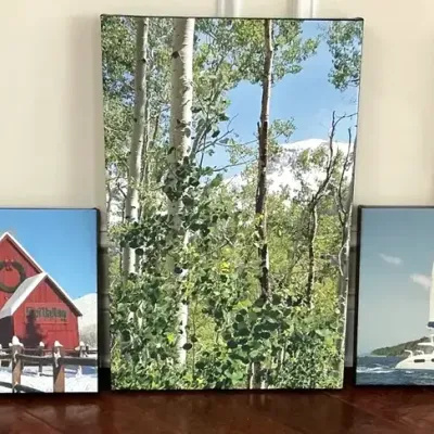 Assorted Scenic Canvas Prints 