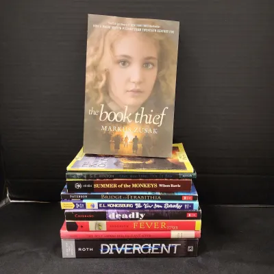 10 Fiction Books - Classics, Divergent, Fever 1793, Deadly, Bridge To Terabithia, The Book Thief
