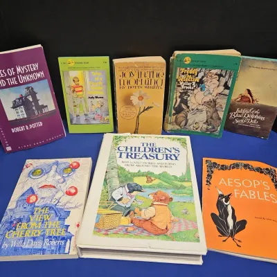 8 Vintage Classic Books - Children's Treasury, The View From Cherry Hill 