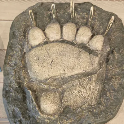 Sale Photo Thumbnail #31: Plaster cast replica of a grizzly bear paw print, showing detailed claw and pad impressions.