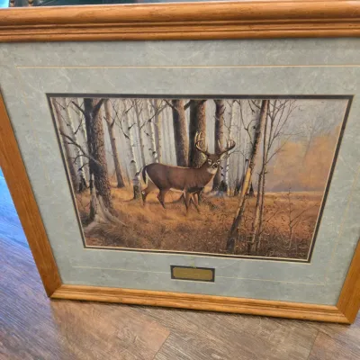 Sale Photo Thumbnail #33: Framed wildlife art print depicting a white-tailed buck in a birch forest, presented in a wooden frame with a double mat.