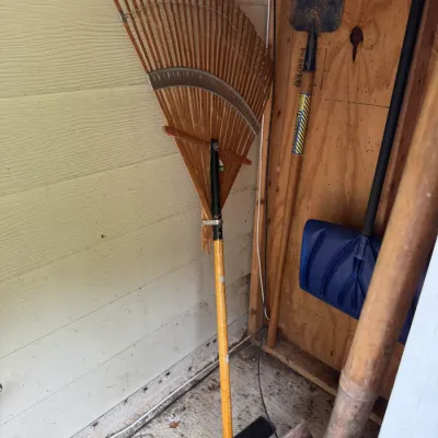 Sale Photo Thumbnail #73: Vintage bamboo leaf rake with a wooden handle, shown alongside other garden tools including a shovel and a blue snow shovel.