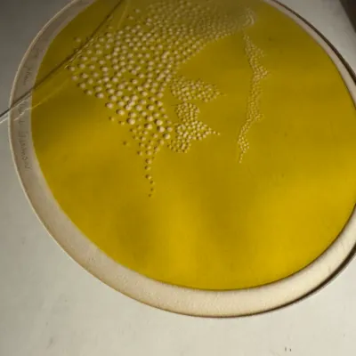 Sale Photo Thumbnail #11: Framed circular yellow screenprint with raised white dot patterns, signed by the artist on the left margin.
