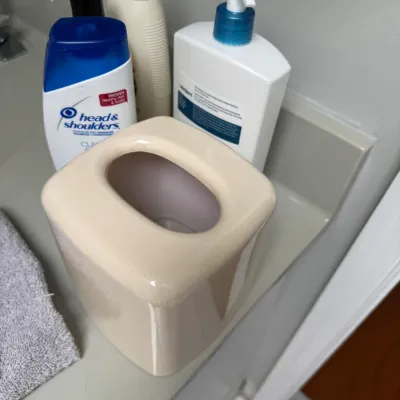 Sale Photo Thumbnail #209: Vintage beige ceramic tissue box cover shown on a bathroom counter alongside various personal care bottles.