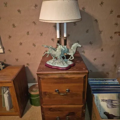 Sale Photo Thumbnail #311