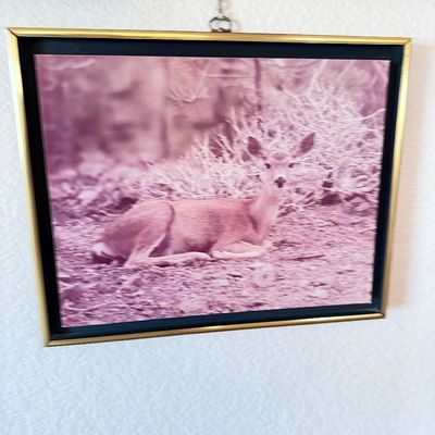 Sale Photo Thumbnail #349