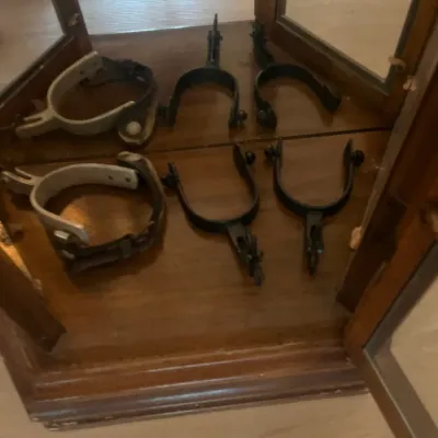 Collection of vintage metal equestrian spurs, including three pairs in varying styles, displayed inside a wooden cabinet.