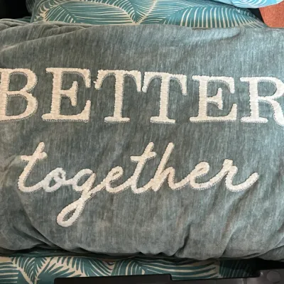 Light blue velvet throw pillow featuring the embroidered phrase "BETTER together" in white textured lettering.