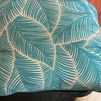 2 costal print pillows