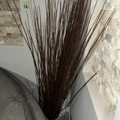 Sale Photo Thumbnail #669: About five and a half feet tall, but each branch varies in size
