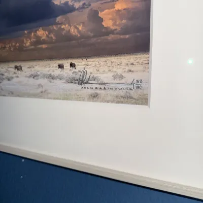 Sale Photo Thumbnail #296: See photos, measures approx. 40.5" wide by 18" tall