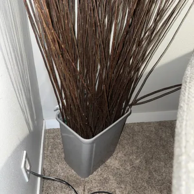 Sale Photo Thumbnail #668: About five and a half feet tall, but each branch varies in size