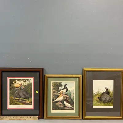 Sale Photo Thumbnail #1123