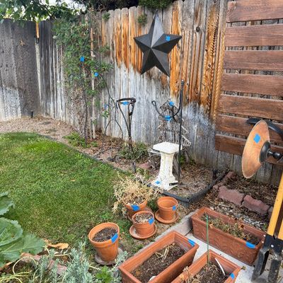 Sale Photo Thumbnail #37: Assorted garden decor and supplies, including terracotta pots, rectangular planters, metal plant stands, and a black metal star wall hanging.