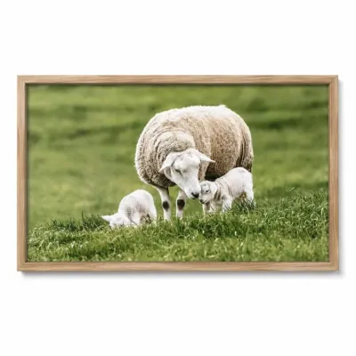 Sale Photo Thumbnail #297