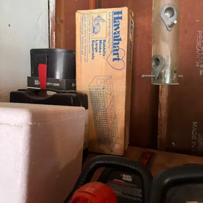 Vintage Havahart live animal cage trap in its original cardboard box, alongside a hanging bird feeder and various power tools.