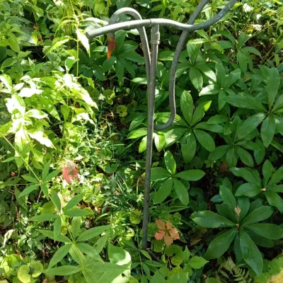 Sale Photo Thumbnail #260