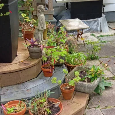 Sale Photo Thumbnail #284