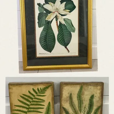 Vintage Botanical Prints