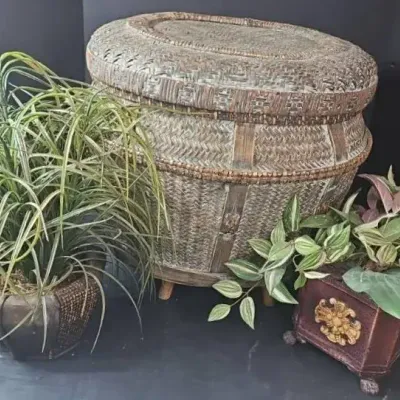 Botantical & Woven Treasures