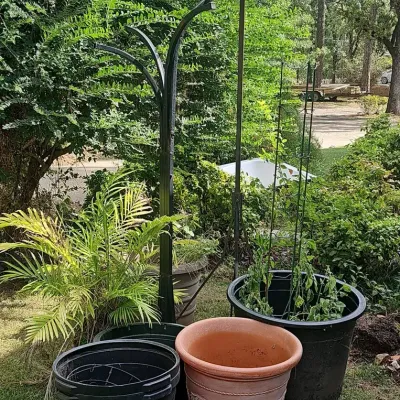 Pair Of Plant Stands, Planters And More