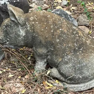 Outdoor Concrete Pig
