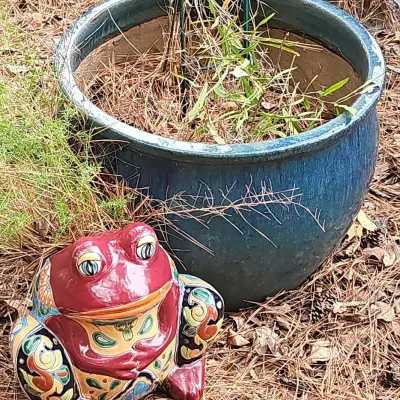 Whimsical Garden Charm