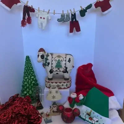 Christmas Variety Lot