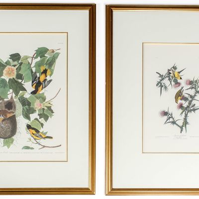 Sale Photo Thumbnail #158: After John James Audubon (1785-1851) Baltimore Oriole and American Goldfinch, Lithographs