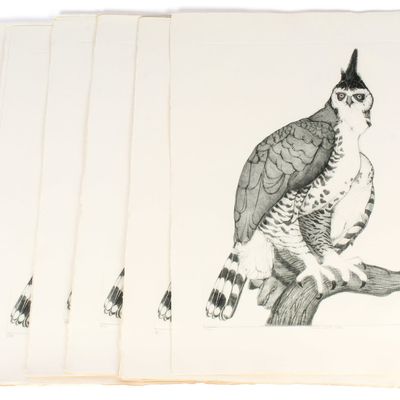 Sale Photo Thumbnail #420: Christine McGinnis (American, 1937-2019) 26 Hawk Etchings