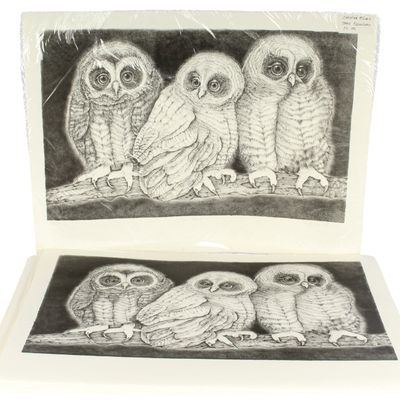 Sale Photo Thumbnail #418: Christine McGinnis (American, 1937-2019) 51 Fledgling Lithographs