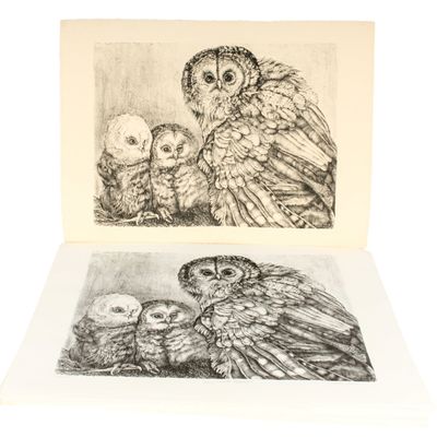 Sale Photo Thumbnail #421: Christine McGinnis (American, 1937-2019) 53 Owl Lithographs