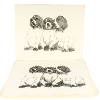 Sale Photo Thumbnail #416: Christine McGinnis (American, 1937-2019) 50 Puppy Etchings