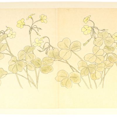 Sale Photo Thumbnail #301: Josephine Zettel Rookwood Pottery Study Drawing, Flowers