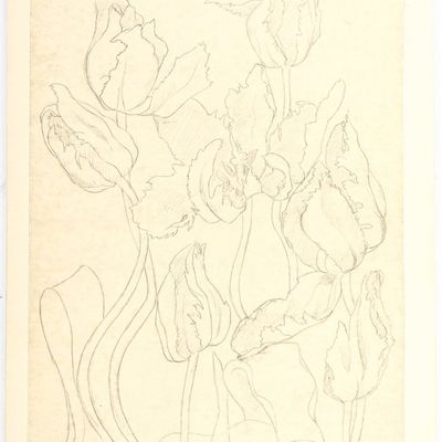 Sale Photo Thumbnail #299: Josephine Zettel Rookwood Pottery Study Drawing, Flowers
