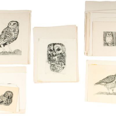 Sale Photo Thumbnail #423: Christine McGinnis (American, 1937-2019) Various Bird Etchings