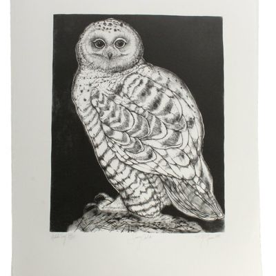 Sale Photo Thumbnail #422: Christine McGinnis (American, 1937-2019) 50 Snowy Owl Lithographs
