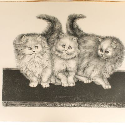Sale Photo Thumbnail #417: Christine McGinnis (American, 1937-2019) 53 Kitten Lithographs