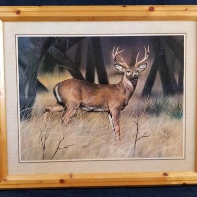 Sale Photo Thumbnail #112: Framed Qua Nature Deer Print